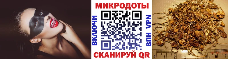 дарнет шоп  Шагонар  блэк спрут онион  Галлюциногенные грибы Psilocybe 